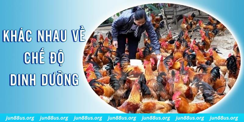 luck 8 xổ số miền nam thứ năm hàng tuần