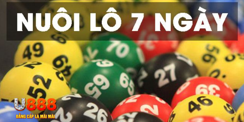 luck 8 what is a virtual casino