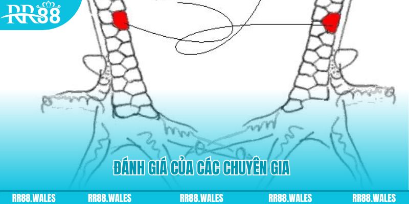 luck 8 V8 Game Bài 3d