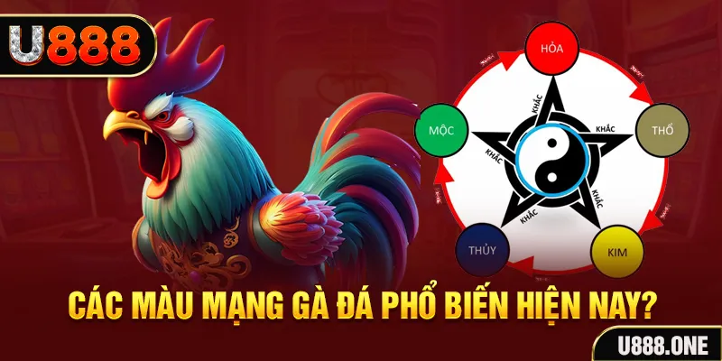 luck 8 FTG Điện Tử