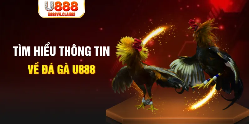 luck 8 đăng nhập tiến lên miền nam hàng đầu