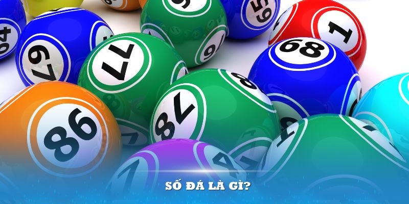 luck 8 AOG Đá Gà
