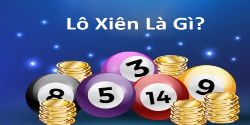 luck 8 gà chọi hòa phong
