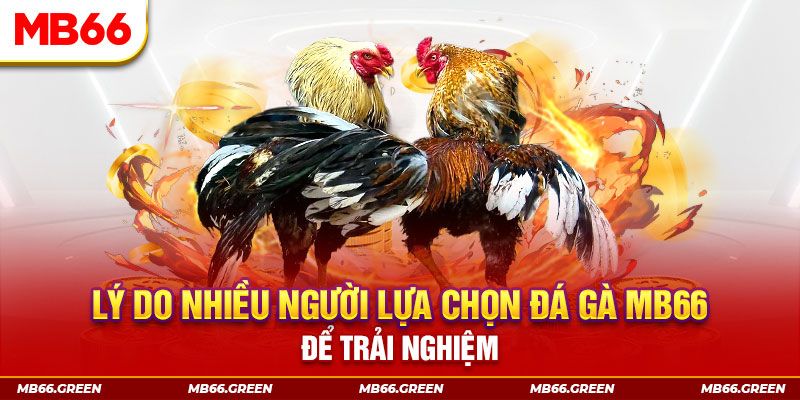 luck 8 KA Điện Tử