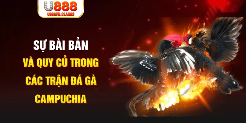 luck 8 PG Điện Tử