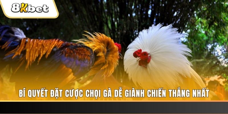 luck 8 xổ số thứ hai hàng tuần