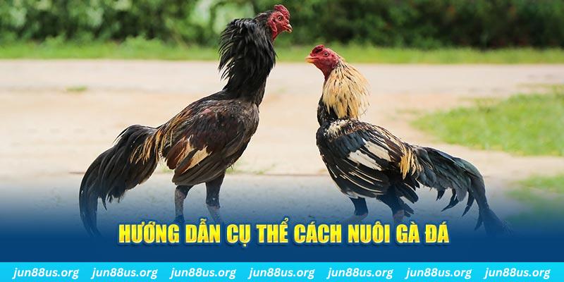 luck 8 đăng nhập sòng bạc số 1