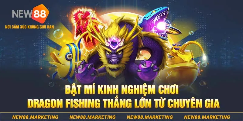 luck 8 đăng nhập nổ hũ live