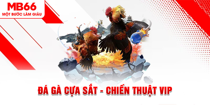 luck 8 xổ số trực tiếp hôm nay